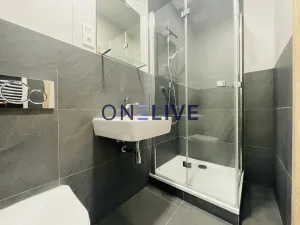 Pronájem bytu 2+kk, Plzeň, Kotkova, 35 m2