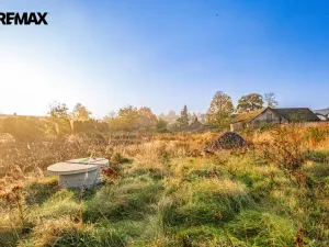 Prodej rodinného domu, Březová-Oleško - Březová, Hlavní, 765 m2