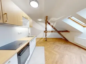 Pronájem bytu 2+kk, Plzeň, Nerudova, 60 m2