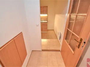 Pronájem bytu 1+kk, Praha - Nusle, Sdružení, 35 m2