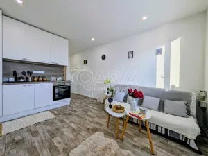 Prodej bytu 1+kk, Plzeň - Doudlevce, Šimerova, 19 m2