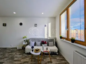 Prodej bytu 1+kk, Plzeň - Doudlevce, Šimerova, 19 m2