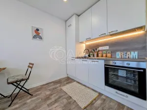 Prodej bytu 1+kk, Plzeň - Doudlevce, Šimerova, 19 m2