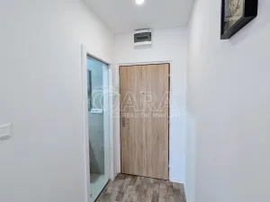 Prodej bytu 1+kk, Plzeň - Doudlevce, Šimerova, 19 m2