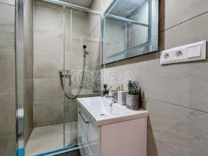 Prodej bytu 1+kk, Plzeň - Doudlevce, Šimerova, 19 m2