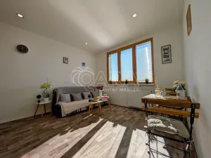 Prodej bytu 1+kk, Plzeň - Doudlevce, Šimerova, 21 m2