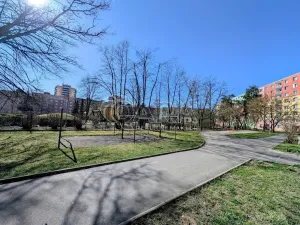 Prodej bytu 1+kk, Plzeň - Doudlevce, Šimerova, 21 m2