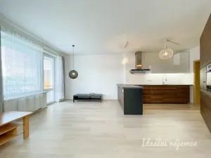 Pronájem bytu 1+kk, Brno - Královo Pole, Božetěchova, 61 m2