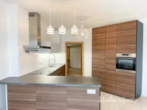 Pronájem bytu 1+kk, Brno - Královo Pole, Božetěchova, 61 m2