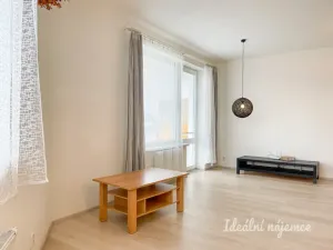 Pronájem bytu 1+kk, Brno - Královo Pole, Božetěchova, 61 m2