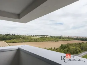 Prodej bytu 2+kk, Plzeň - Severní Předměstí, Na Chmelnicích, 50 m2