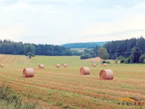 Prodej pole, Horní Radouň - Starý Bozděchov, 237194 m2