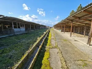 Prodej komerčního pozemku, Svrkyně, 6493 m2