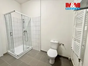 Pronájem bytu 1+1, Děčín - Děčín III-Staré Město, 55 m2