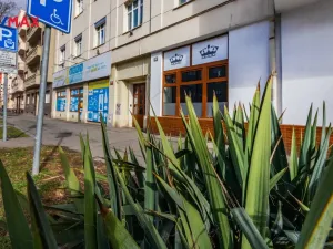 Prodej bytu 2+1, Praha - Nusle, 5. května, 58 m2