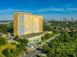 Pronájem bytu 2+kk, Praha, Štúrova, 40 m2