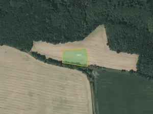 Prodej pole, Olešník, 23269 m2