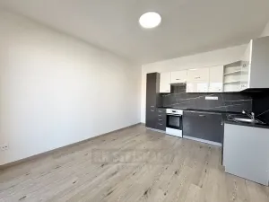 Pronájem bytu 2+kk, České Budějovice - České Budějovice 2, N. Frýda, 42 m2