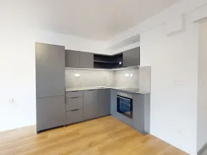 Pronájem bytu 1+kk, Ostrava - Moravská Ostrava, Sadová, 35 m2