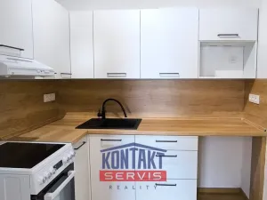 Prodej bytu 1+1, Písek - Budějovické Předměstí, Táborská, 24 m2