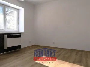 Prodej bytu 1+1, Písek - Budějovické Předměstí, Táborská, 24 m2