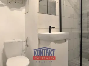 Prodej bytu 1+1, Písek - Budějovické Předměstí, Táborská, 24 m2