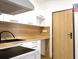 Prodej bytu 1+1, Písek - Budějovické Předměstí, Táborská, 27 m2