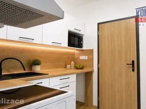 Prodej bytu 1+1, Písek - Budějovické Předměstí, Táborská, 27 m2