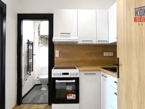 Prodej bytu 1+1, Písek - Budějovické Předměstí, Táborská, 27 m2