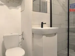 Prodej bytu 1+1, Písek - Budějovické Předměstí, Táborská, 27 m2