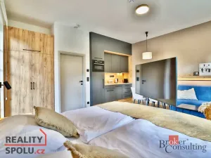 Prodej bytu 1+kk, Černý Důl, 39 m2