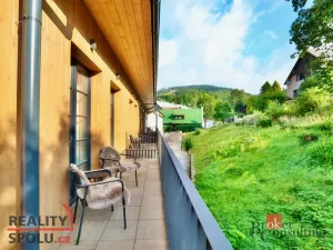 Prodej bytu 1+kk, Černý Důl, 39 m2