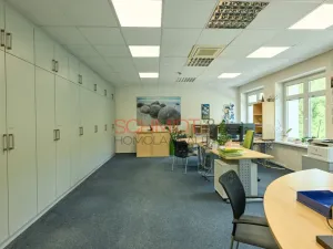 Pronájem kanceláře, Hustopeče, Herbenova, 38 m2