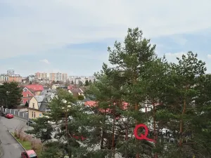 Prodej bytu 2+kk, Praha - Žižkov, Pod lipami, 61 m2