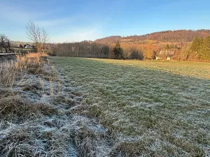 Prodej komerčního pozemku, Velká Bukovina, 20188 m2