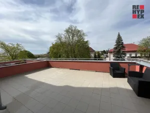 Pronájem bytu 1+1, Opatovice nad Labem, Neplachova, 40 m2