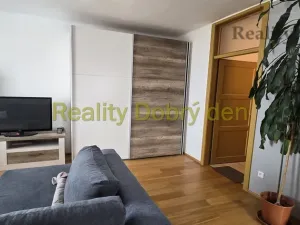 Pronájem bytu 1+kk, Opava, Nerudova, 53 m2