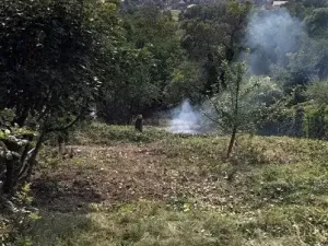 Prodej zahrady, Dolní Kounice, Kamenný vrch, 1117 m2