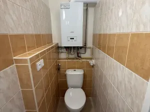 Pronájem bytu 3+1, Želešice, 158 m2