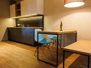 Pronájem bytu 2+kk, Plzeň, Pallova, 52 m2