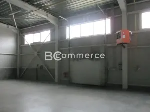 Pronájem skladu, Brno, Vídeňská, 1400 m2