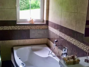 Prodej ubytování, Paseky nad Jizerou, 345 m2