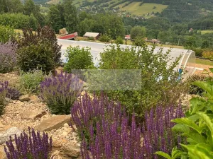 Prodej ubytování, Paseky nad Jizerou, 345 m2