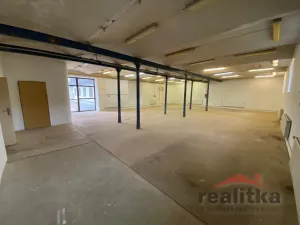 Prodej rodinného domu, Opava - Jaktař, Přemyslovců, 525 m2