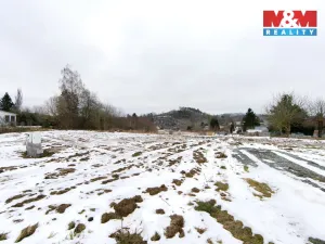 Prodej pozemku pro bydlení, Bělá nad Radbuzou, 796 m2