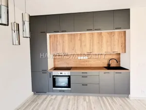 Pronájem bytu 2+kk, České Budějovice - České Budějovice 3, Hálkova, 49 m2