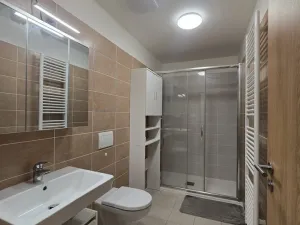 Pronájem bytu 1+kk, Benešov, 102. pluku, 33 m2