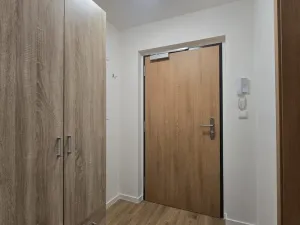 Pronájem bytu 1+kk, Benešov, 102. pluku, 33 m2