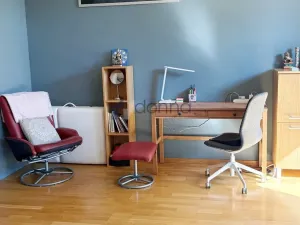 Pronájem bytu 1+kk, Praha, Litoměřická, 47 m2