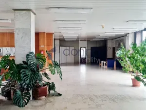 Pronájem obchodního prostoru, Praha, Za Mototechnou, 170 m2